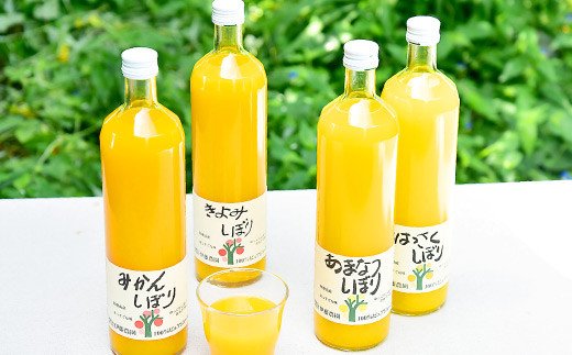 79.伊藤農園 100%ピュアジュース飲み比べ750ml×9本セット（A79-3）