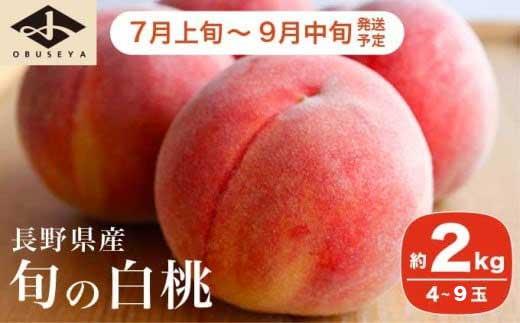 旬の白桃 約2kg 4～9玉 ［小布施屋］ 白桃 桃 もも モモ フルーツ 果物 クール便 冷蔵便 長野県産 信州産 期間限定 数量限定  たまき なつき あかつき 川中島白鳳 川中島白桃など 先行予