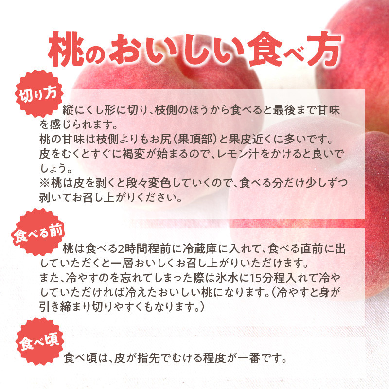 【数量限定】 しのおかの大きな桃(白鳳・特秀クラス）