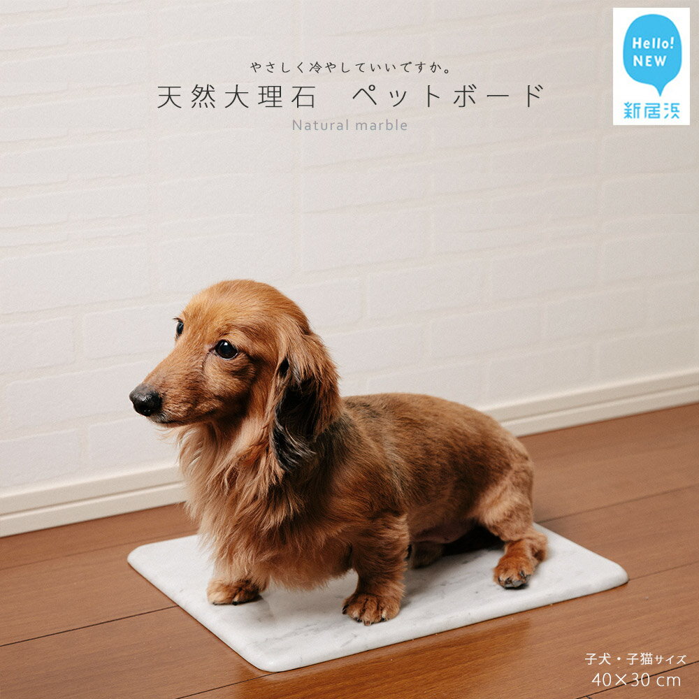 【ふるさと納税】 ペットボード ひんやり 天然大理石 1枚【40x30cm】)子犬 子猫 サイズ 暑さ対策 快適 夏 ペット 犬 猫 インテリア おしゃれ 冷 涼しい ダイニング 家具 ギフト 贈り物 プレゼント 記念 衛生的 耐久性 高級感 汎用 バリアフリー ペットを愛する石職人