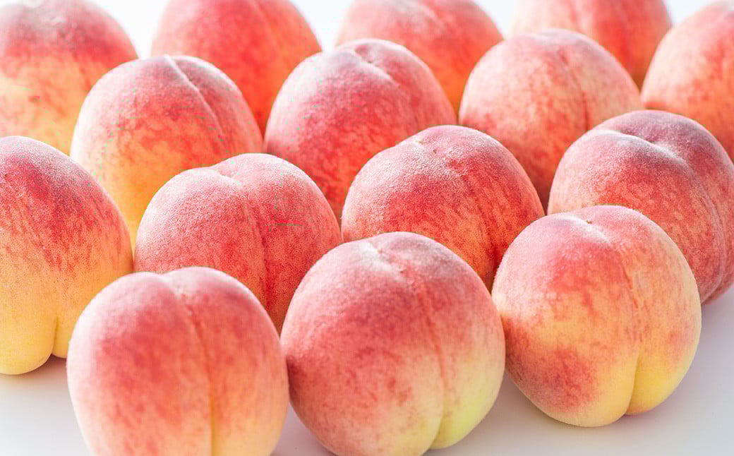 熊本県産 白桃 約1kg 