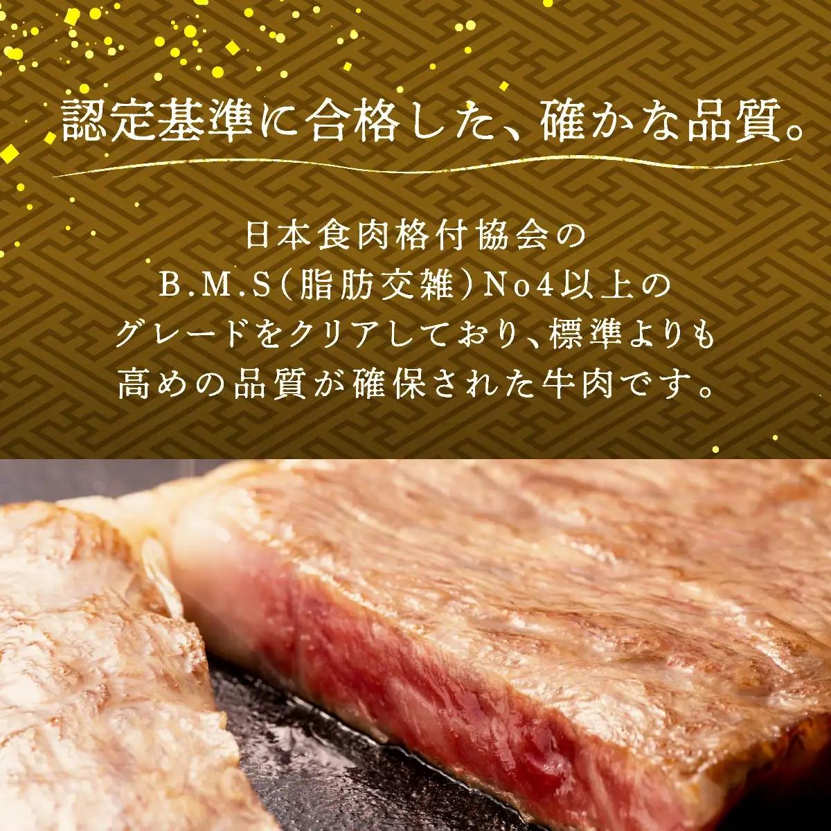和牛 おかやま 和牛肉 ステーキ セット 合計約600g（サーロイン 約300g＆リブロース 約300g）
