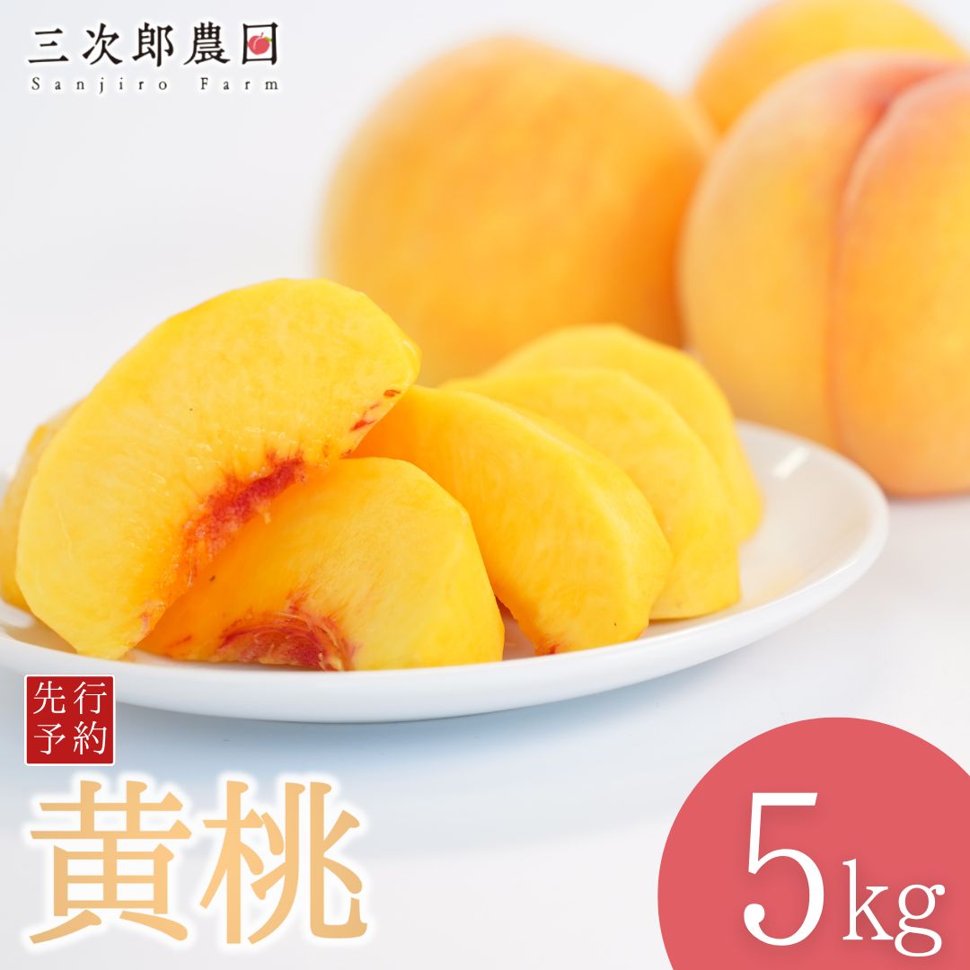 【ふるさと納税】先行予約 黄桃 約5kg 令和8年度 贈答用 新潟県三条市産 桃 黄桃 [三次郎農園] 【026S052】