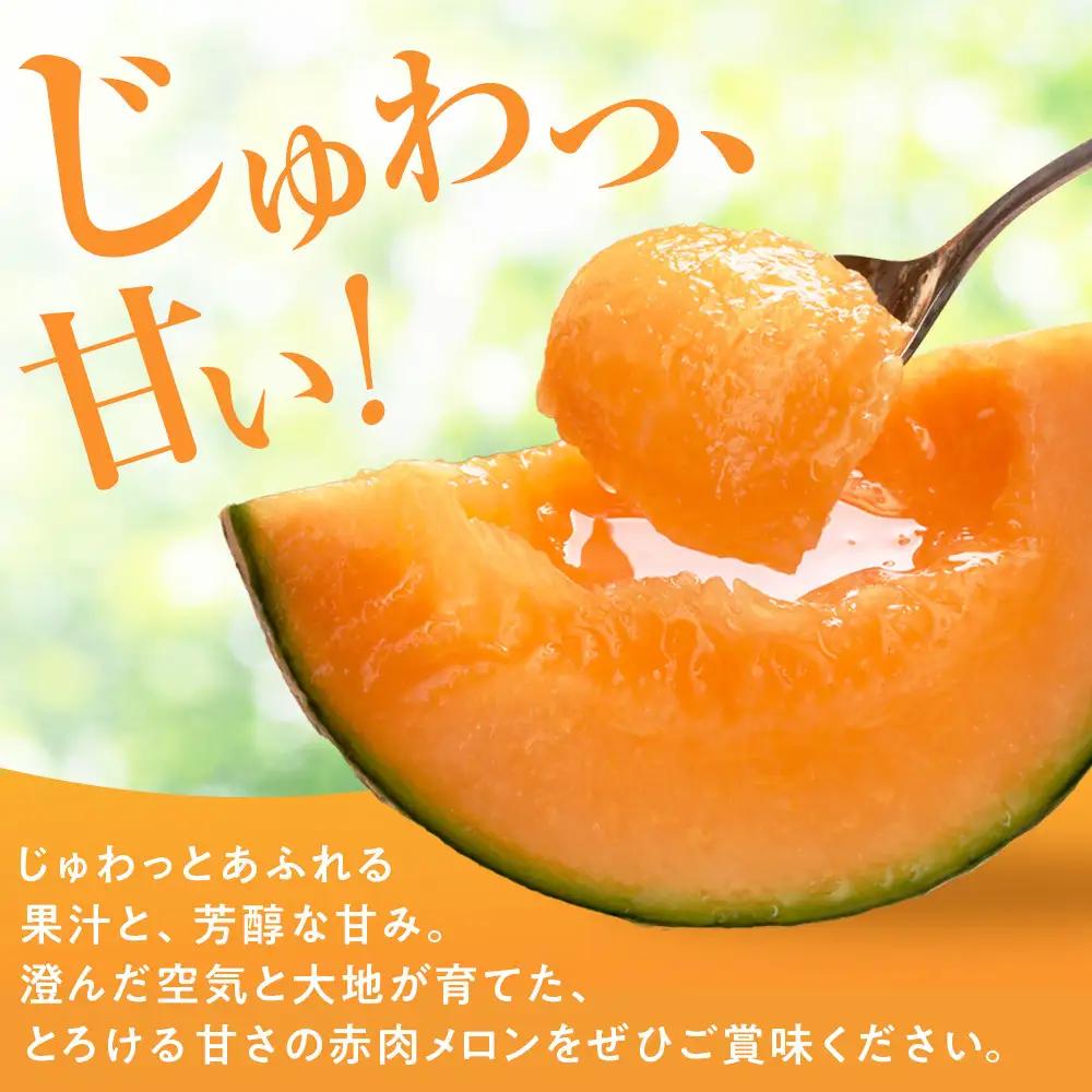【先行予約】秀品 北海道産赤肉メロン約1.6kg×2玉 (2026年7月中旬から発送開始)  メロン _05926