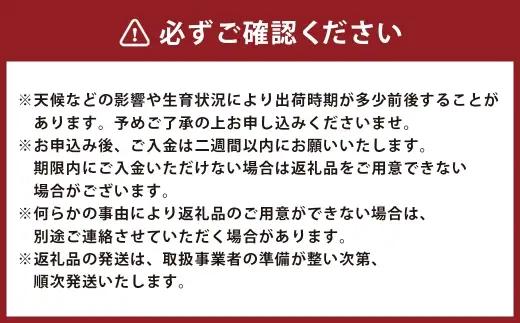 温州みかん 約7kg 2S ～ 2Lサイズ みかん ミカン 蜜柑 果物 くだもの フルーツ 柑橘 柑橘系 柑橘類 果実 果肉 国産 熊本県産 【 2026年11月上旬～12月上旬発送予定 】