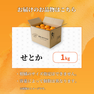 【せとか】【2026年2月下旬から発送】 せとか 家庭用 お試し 1kg | 愛媛県松山市【RNK027】