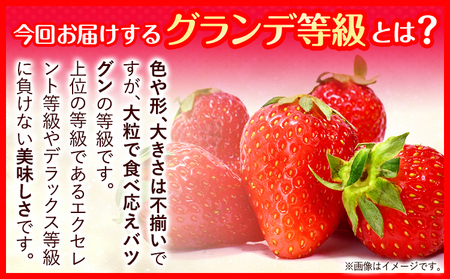 いちご あまおう1620g (約270g×6パック) 苺 送料無料 【着日指定不可】《2024年3月末-4月末頃出荷》 イチゴ 果物 フルーツ 福岡県 鞍手郡 小竹町