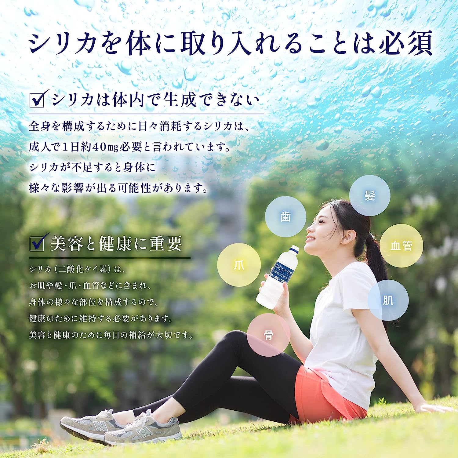 【選べる容量】【定期便12回】のむシリカ 500ml×24本（ 国産 ナチュラルウォーター ミネラルウォーター 天然水 水 シリカ シリカ水 美容 人気 霧島 定期便 宮崎） 500ml×24本×12