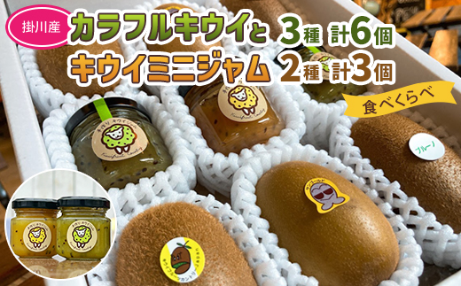 掛川産 カラフルキウイ 3種6個と キウイミニジャム 3個セット キウイフルーツカントリー　5884【配送不可地域：離島・北海道・沖縄県・四国・九州】