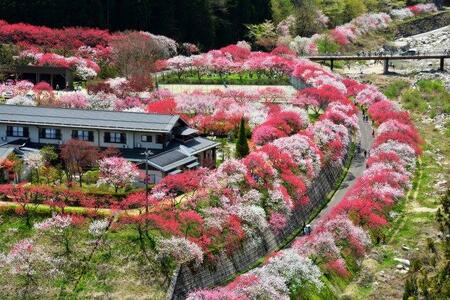 【阿智村】JTBふるさと旅行券（紙券）450,000円分 ｜ 信州 長野 昼神温泉 ふるさと 納税 支援  旅行 旅行券 クーポン ホテル 旅館 宿  宿泊 泊り お泊り 国内旅行 トラベル 観光 星