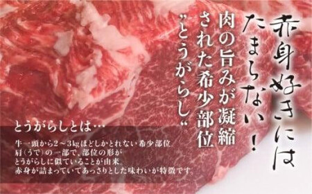 飛騨牛 ブロック とうがらし 1kg ステーキ | ステーキ FC010VC13