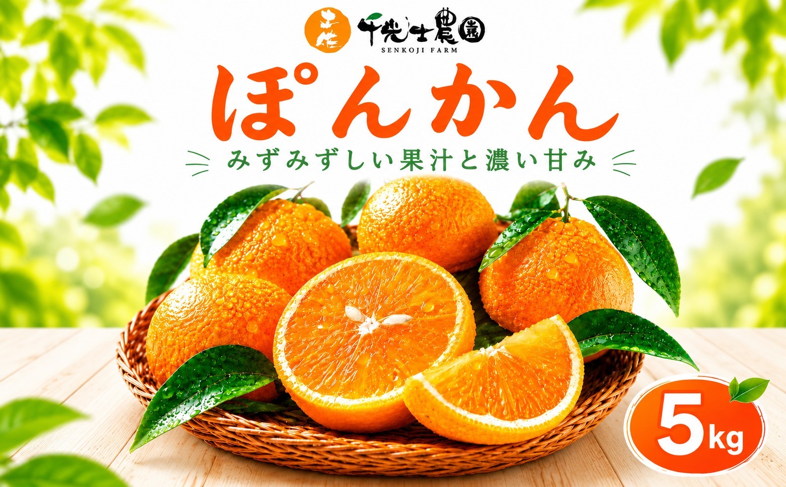 
                  【訳あり】千光士農園のポンカン 5kg 新鮮 みかん mikan 訳あり ワケあり ワケアリ 密柑 ぽんかん 甘味 甘い 家庭用 先行予約 訳あり果物 くだもの フルーツ 訳あり柑橘 産地直送 農家直送 数量限定 国産 先行予約 柑橘類 先行予約柑橘類 高知県 高知県安芸市
                