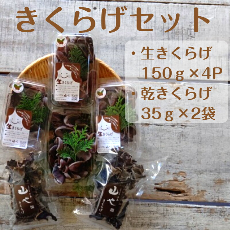 【ふるさと納税】【7月上旬から発送開始】きくらげセット（生きくらげ150g×4パック・乾きくらげ35g×2袋） 国産品