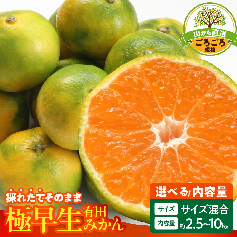 【ふるさと納税】【限定】【2025年先行予約】みかん 極早生 選べる 内容量 箱込 2.5kg ～ 10kg サイズ 秀品 優品 良品 混合 採れたて ごろごろ規格 有田みかん 新鮮 和歌山県産 フルーツ デザート 和歌山県 湯浅町 お取り寄せ お取り寄せフルーツ みかんの会 送料無料