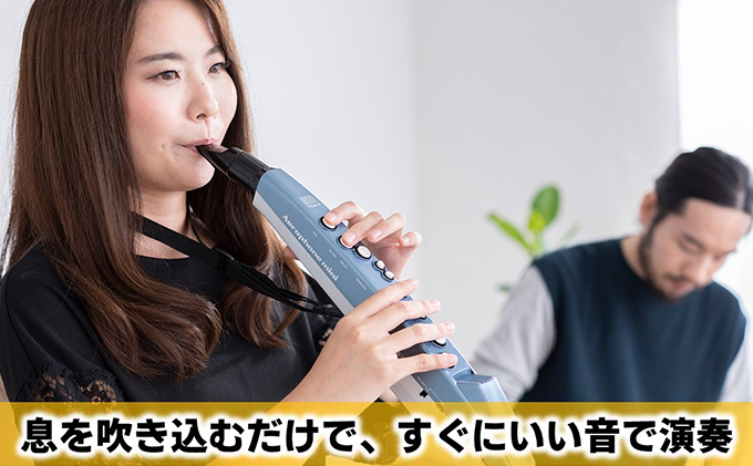 【Roland】ウインドシンセサイザー/エアロフォンミニ【配送不可：離島】 楽器 管楽器 