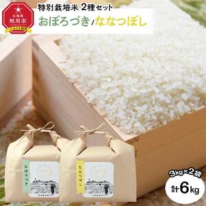 特別栽培米　2種セット 計6kg（3kg×2袋)(おぼろづき/ななつぼし)　令和6年産 | ななつぼし ななつぼし ななつぼし ななつぼし ななつぼし 米 米 米 米 米 _03194