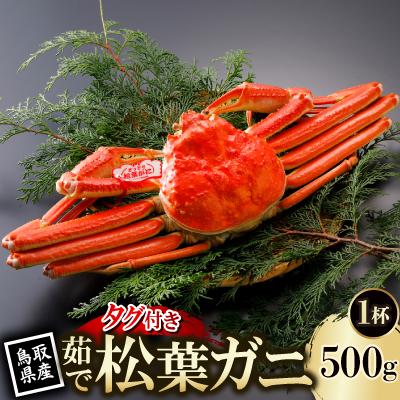 ふるさと納税 智頭町 【先行予約】鳥取県産 タグ付き 茹 松葉がに 500g×1杯(中村商店)2026年11月発送