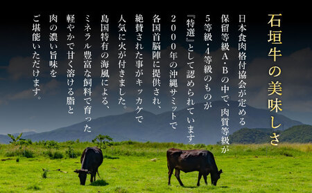 希少な特選石垣牛をご家庭で！！肉の旨味あふれる上赤身（ウチモモ、シンタマ、ランプ）ステーキ肉　合計400g | 沖縄 石垣 特選 牛 上 赤身 ウチモモ シンタマ ランプ 肉 ステーキ 真空 冷凍 |