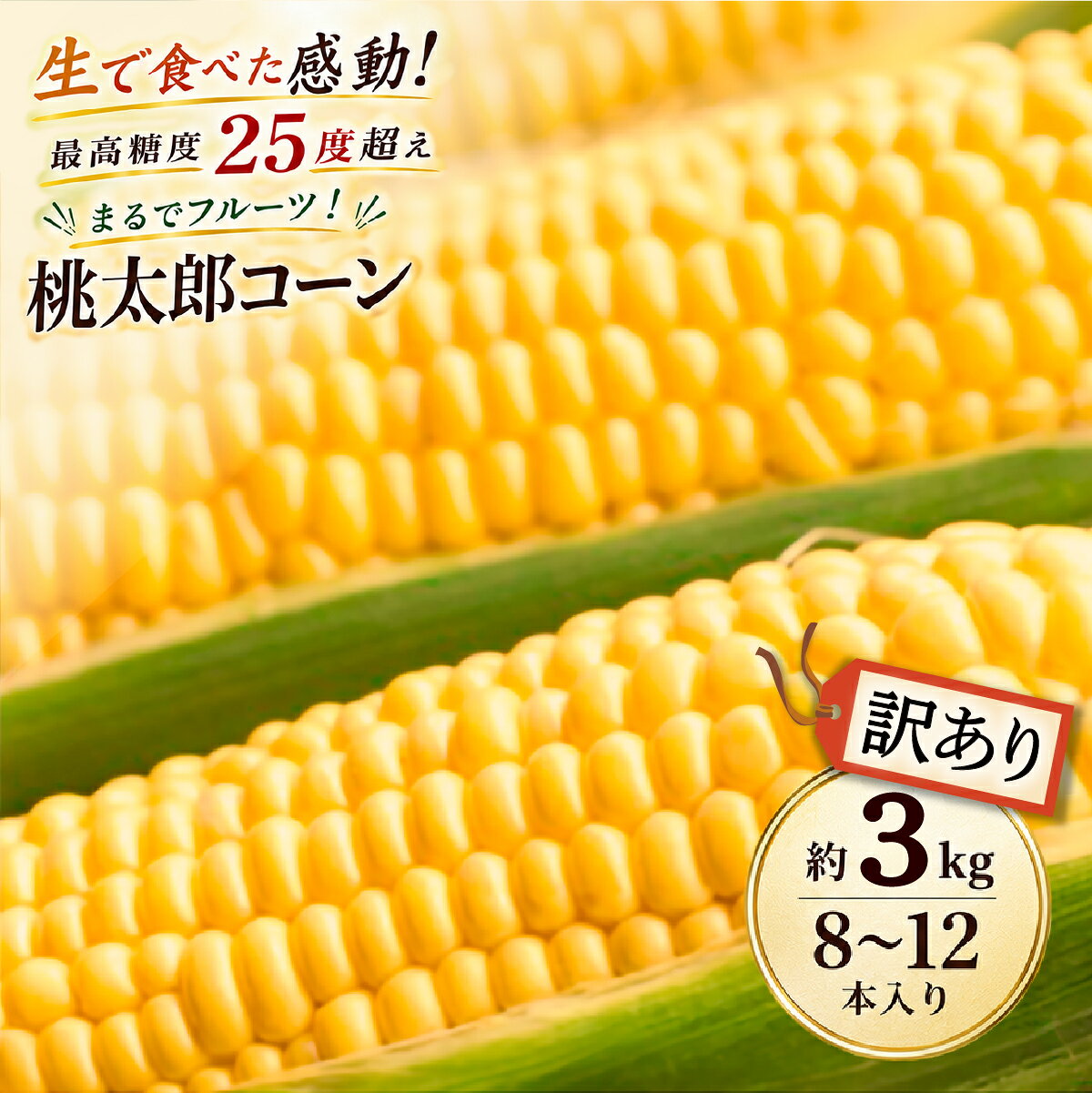 【ふるさと納税】訳あり 牛窓産 とうもろこし まるでフルーツ！最高糖度 25度 超え 生で甘い、茹でて美味い！ 黄色 とうもろこし 桃太郎コーン 訳あり 約3kg (8〜12本入り) 野菜 夏野菜 トウモロコシ コーン 甘いとうもろこし お届け:2026年8月下旬〜2026年10月下旬