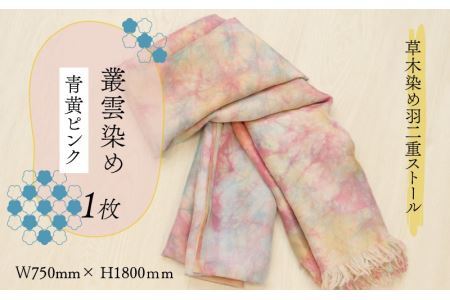羽二重ストール 青黄ピンク 叢雲染め [C-053006]