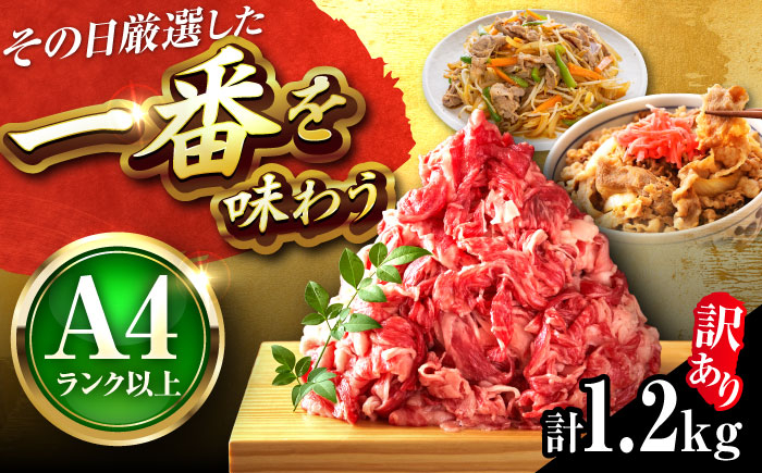 
            【訳あり】【A4-A5】博多和牛 切り落とし 1.2kg (600g×2パック) 吉富町/株式会社MEAT PLUS [BGAB055] 国産 和牛 ブランド牛 切り落とし 赤身 小分け きりおとし 国産牛 切りおとし 訳アリ わけあり 福岡 おすすめ 肩 バラ 福岡県
          