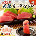 【ふるさと納税】 鹿児島産 天然 キハダマグロ 柵 約500g 鹿児島 おすすめ ランキング プレゼント ギフト 冷凍 魚 マグロ ブロック 刺身 生 マグロ丼 小分け 便利 鮮度 ボリューム 急速冷凍 真空 パック ノンドリップ ドリップなし 刺身維新 津曲商店