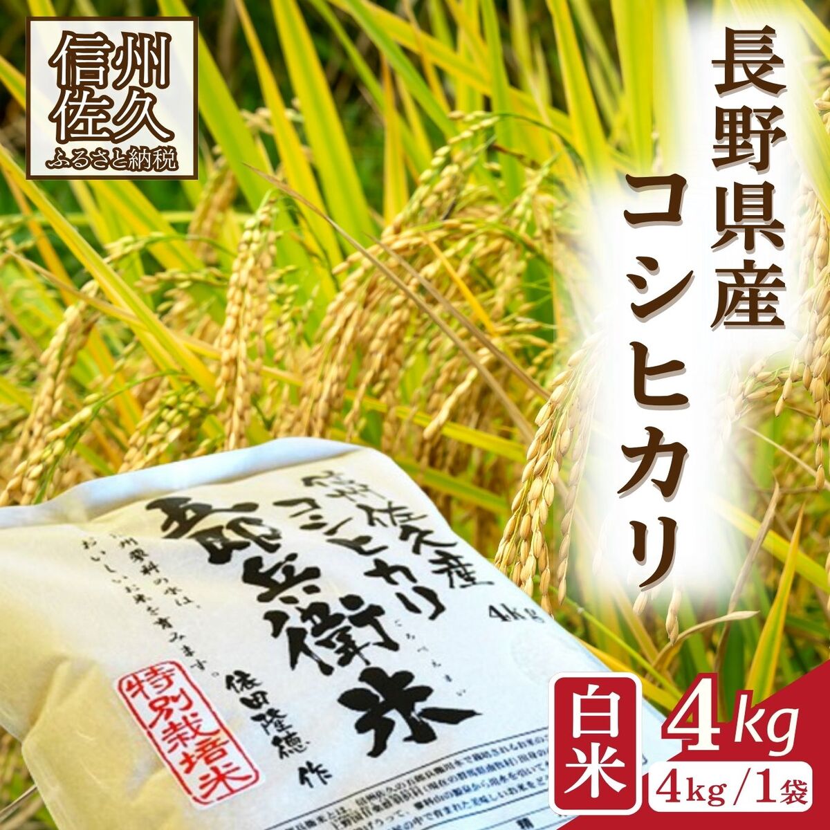 【ふるさと納税】【令和7年産・白米4kg】 特別栽培米 五郎兵衛米 〈2025年9月中旬頃～順次発送〉先行予約 新米 信州 こしひかり【 米 コメ 白米 精米 お米 こめ おこめ 備蓄品 コシヒカリ 長野県 佐久市 】