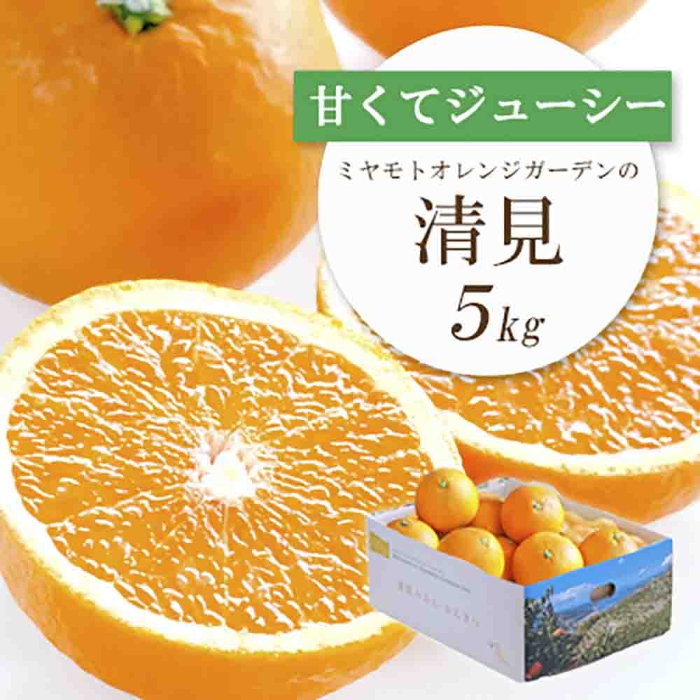 
                  果汁たっぷり ジューシー 清見 5kg │ 愛媛県八幡浜市産＜E25-126＞_みかん ミカン 柑橘 フルーツ ふるーつ 果物 くだもの 青果 清見 きよみ 甘い ジューシー 愛媛 希少 産直 産地直送 【1268370】 YWTAP069
                