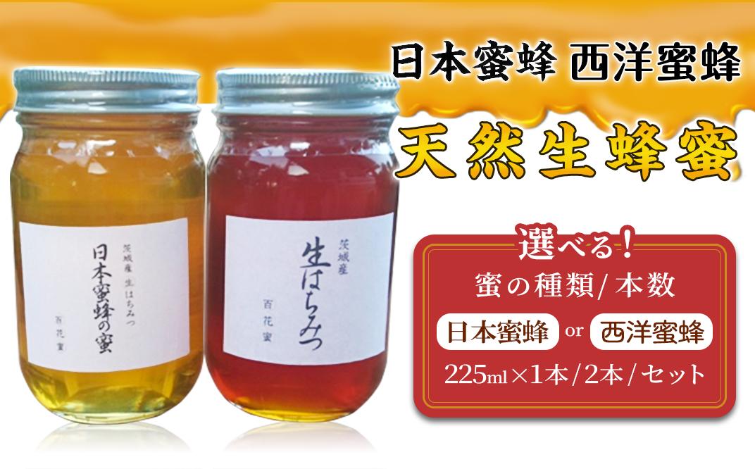 
                  【先行予約】【選べる種類・本数】天然生蜂蜜 「日本蜜蜂」「西洋蜜蜂」 225ml × 1本 / 2本 / セット【 2026年6月上旬 / 8月上旬から順次発送予定 】【 はちみつ 国産 生はちみつ なま 生蜂蜜 生ハチミツ 天然生蜂蜜 】
                