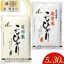 【ふるさと納税】選べる発送月 米 令和6年 能登米 石川米 こしひかり 精米 5kg〜30kg [中橋商事 饗のこめ (あえのこめ) 石川県 宝達志水町 38600950] 能登 コシヒカリ お米 コメ 令和6年産 白米 精米 おこめ こめ 5kg 10kg 20kg 30kg