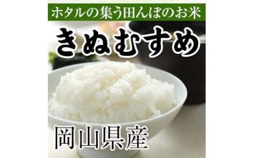
            ＜定期便 全3回＞令和6年産 きぬむすめ 無洗米 約10kg 岡山県真庭市産 ／ 国産 お米 ブランド米
          