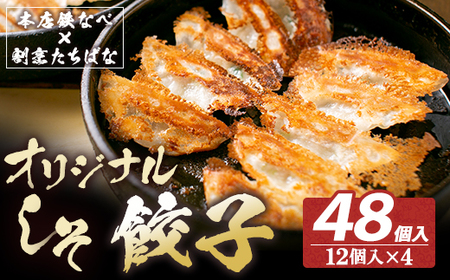 U02-14-01 本店鉄なべ×割烹たちばな 餃子セット48個(オリジナル・しそ各24個) 【TCBN】 【fukuchi00】 