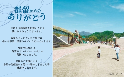 テレビ朝日系「人生の楽園」出演！こめこクッキーつめあわせ　その2【まーさんちの庭】｜米粉クッキー 米粉 アソートクッキー 手作りクッキー　グルテンフリー　植物性　おやつ
