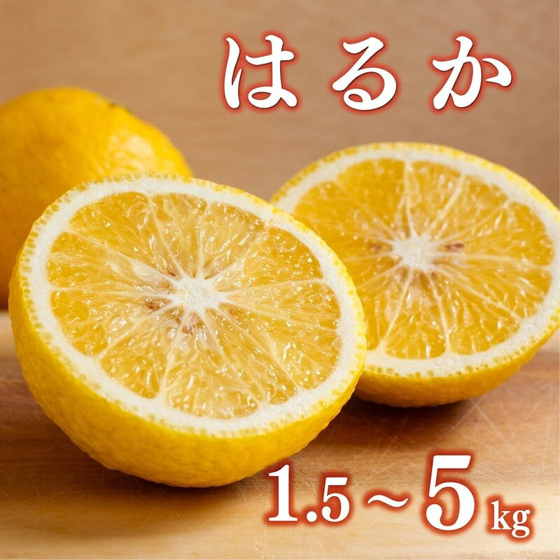 【ふるさと納税】 先行予約 数量限定 選べる 容量 はるか 1.5kg 3kg 5kg 訳あり 5000円 7000円 10000円 みかん mikan 蜜柑 ミカン 国産 期間限定 特産品 フルーツ 果物 柑橘 わけあり 人気 甘い おいしい あいなんマザーズ 愛南町 愛媛県