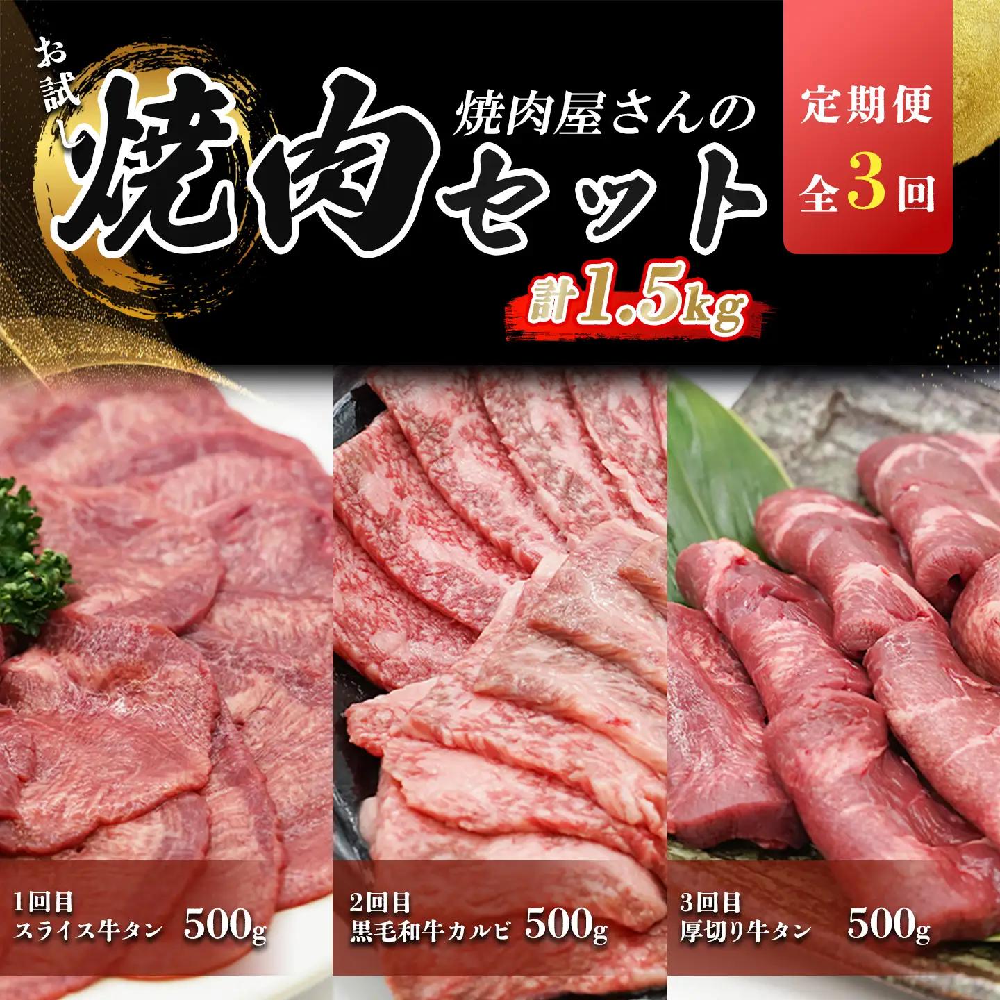 定期便 全3回 牛肉 お楽しみ定期便  計1.5kg