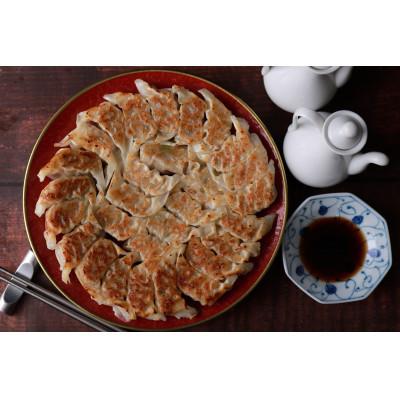 ふるさと納税 佐世保市 【毎月定期便】国産豚100% 長崎ひとくち餃子(トレー包装)160個【長崎中華本舗】全6回 |  | 01