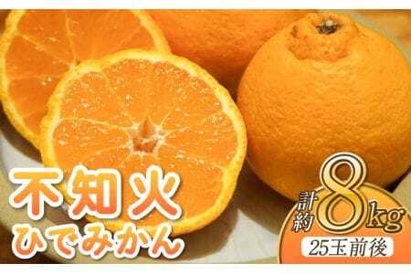 先行予約 不知火 約8kg 25個前後 2027年2月上旬から3月下旬発送予定 ひでみかん