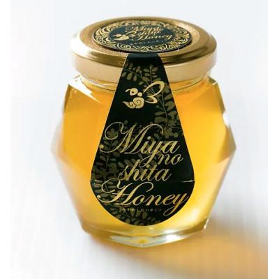 ふるさと納税 雲南市 天然日本ミツバチの「はちみつ」80ml×2　1セット