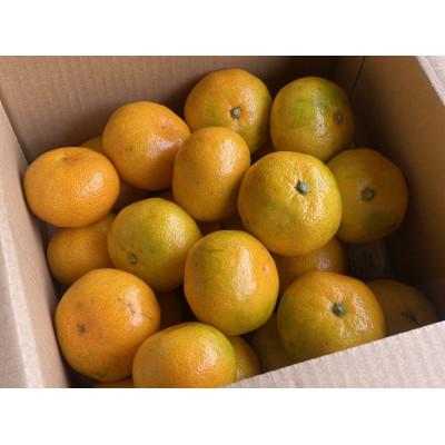 ふるさと納税 牧之原市 みかん(2kg)と採りたて野菜(5品)セット |  | 02