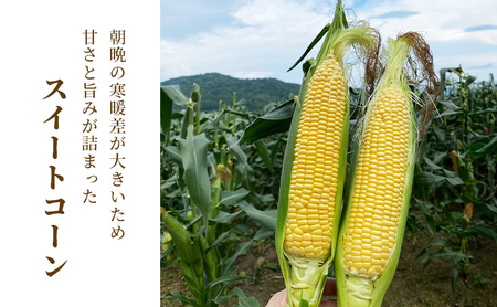［武田農園とれたて直送］スイートコーン わくわくコーン 2L 10本 みずみずしく抜群にあまい！北海道 富良野産 (とうもろこし 野菜 新鮮 とうきび 甘い 産地直送 先行予約 限定)