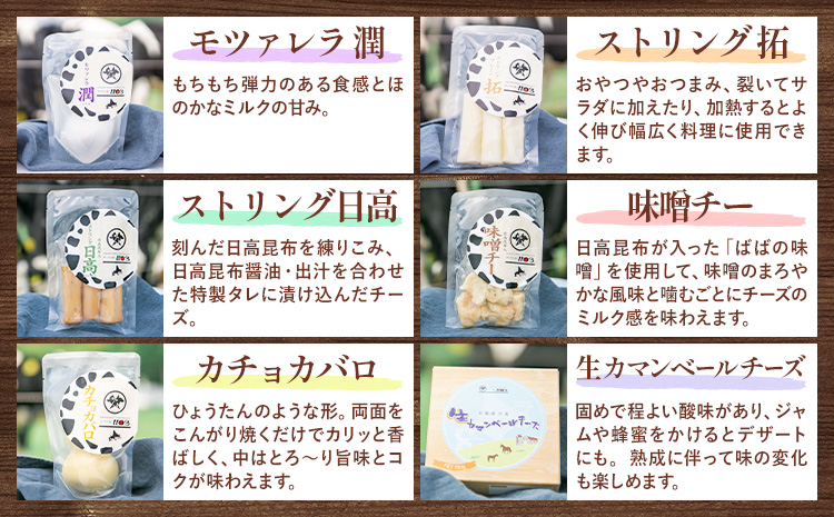 チーズセットA 計6種 通常包装 チーズ工房1103《90日以内に出荷予定(土日祝除く)》ストリング拓 ストリング日高 味噌チー モッツアレラ潤 カチョカバロ 生カマンベール チーズ チーズセット 乳