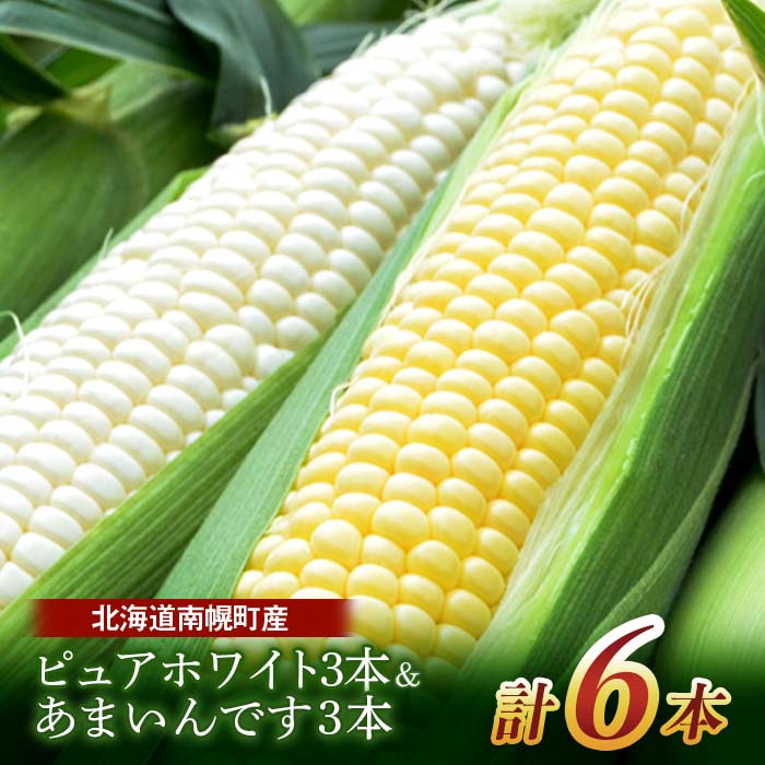 【ふるさと納税】令和8年発送 北海道産 とうもろこし 食べ比べ ピュアホワイト3本＆あまいんです3本 朝採れ 一番果 産地直送 南幌町 NP1-177