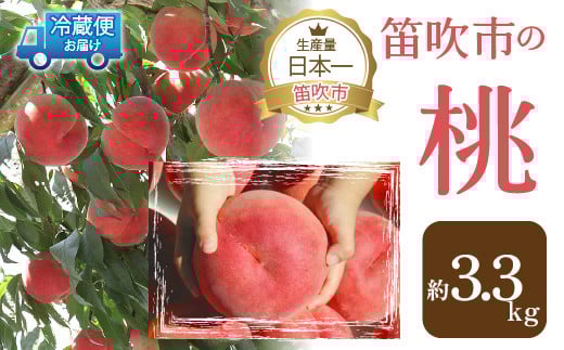 【2026年発送★先行予約】山梨の完熟桃3.3kg以上 111-019-26y
