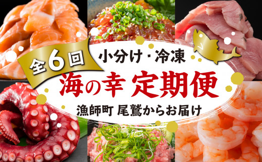 【全６回】 漁師町 尾鷲 からお届け！ 海の幸 定期便 ＜300セット限定＞　小分け バラ凍結 ストック 便利 新鮮 鮮魚 さかな たっぷり 家庭用 おかず 手軽 簡単 冷凍 厳選 サーモン ブリ マグロ ネギトロ えび タコ  三重県 尾鷲市 OW-9