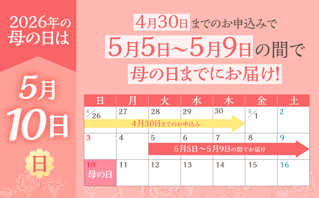 《母の日までにお届け》アジサイ【伊予獅子てまり】 母の日 プレゼント あじさい 