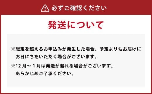 九州を飲む！九州果実シロップ あまおう