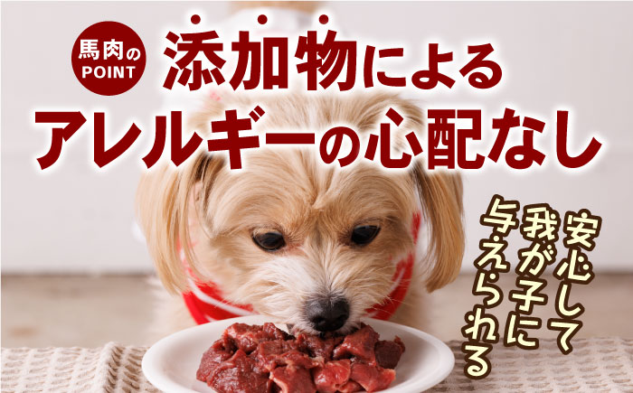 【全6回定期便】詰め合わせ 国内加工 ペット用 馬肉 切り落とし 1kg ペット用 馬刺しジャーキー 100g(50g×2)【五右衛門フーズ】 [YBZ069]