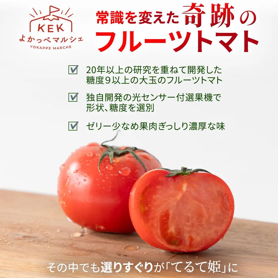 《 2027年 収穫分 》2～6月配送 スーパーフルーツトマト てるて姫 大箱 約2.6kg × 1箱 【20～35玉/1箱】 糖度9度以上 先行予約 フルーツトマト ブランドトマト 野菜 ギフト 贈