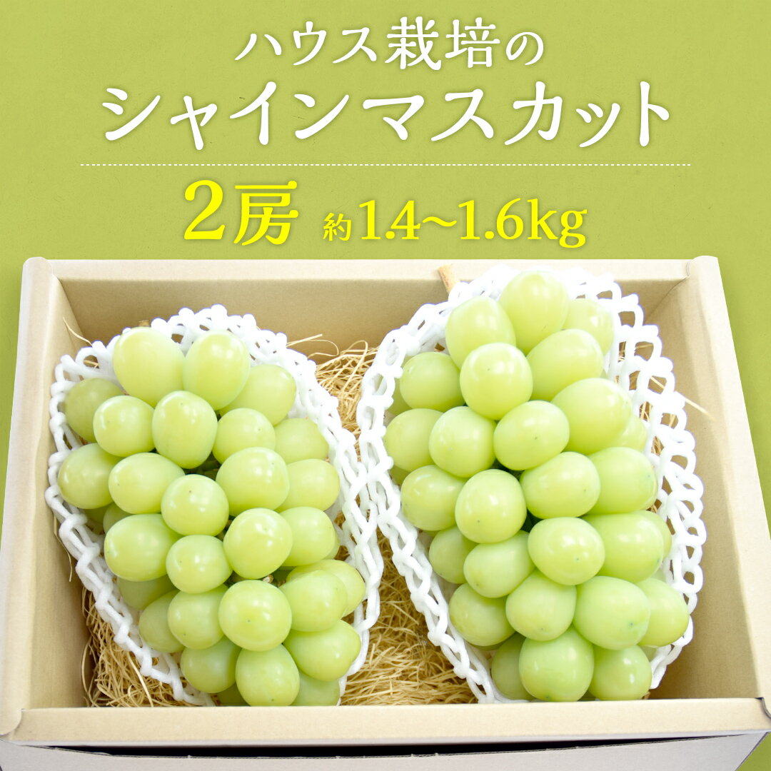 【ふるさと納税】ハウス栽培 の シャインマスカット 2房 ( 約1.4kg～1.6kg ) 令和7年産 先行予約 ぶどう ブドウ 葡萄 フルーツ