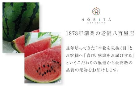 【2025年6月中旬発送】小玉スイカ 1kg（1玉）スイカ すいか 西瓜 小玉 先行予約 フルーツ 果物  石川 金沢 加賀百万石 加賀 百万石 北陸 北陸復興 北陸支援